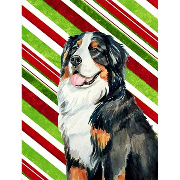 11 x 15 in. Bernese Mountain Dog Candy Cane Holiday Christmas Garden Size Flag