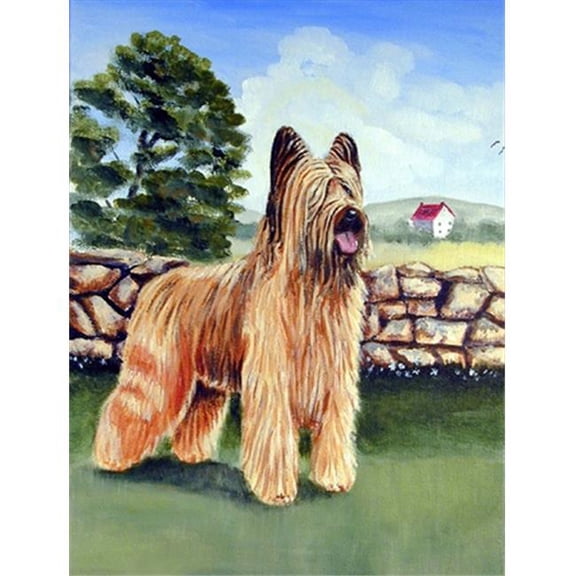 11 x 15 in. Briard By The Stone Fence Flag Garden Size