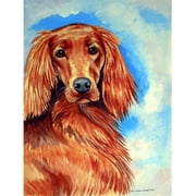 11 x 15 in. Irish Setter Flag Garden Size
