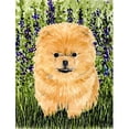 thumbnail image 1 of 11 x 15 in. Pomeranian Garden Size Flag, 1 of 1