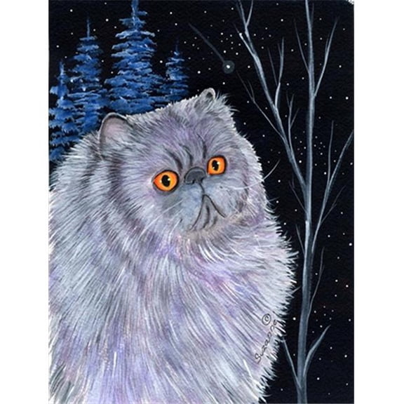 11 x 15 in. Starry Night Cat Persian Flag Garden Size