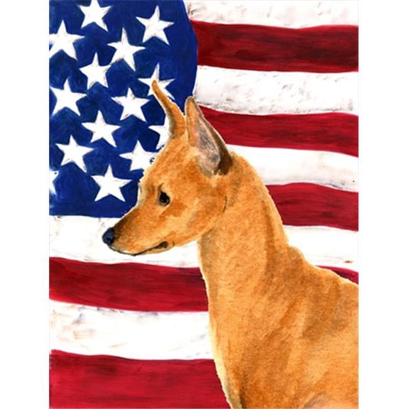 11 x 15 in. Usa American Flag With Min Pin Flag Garden Size