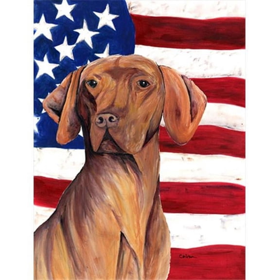 11 x 15 in. Usa American Flag With Vizsla Flag Garden Size