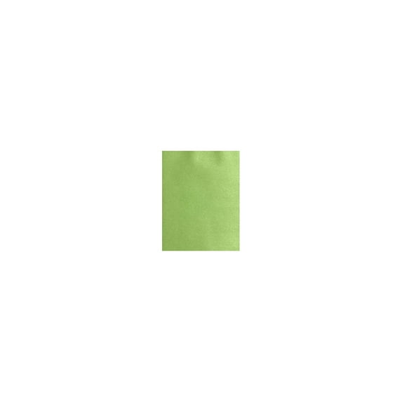 11 x 17 Paper - Fairway Metallic (50 Qty.)