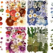 110 Pcs Pressed Flowers, Real Dried Flower Leaves for Scrapbooking Crafts DIY Soap Candles Making Nails Decor