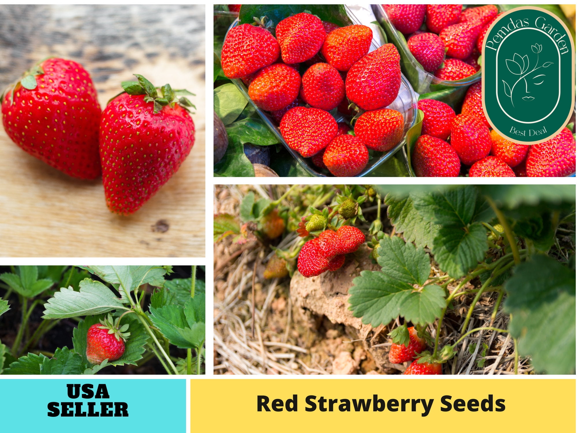 110 seeds| Strawberry Seeds, Red- Authentic Seeds ~ GMO Free ~ Seeds~Flower  seeds~ Vegetable seeds~ Asian Garden~ Flowers~ Herbs B5G1 - Walmart.com