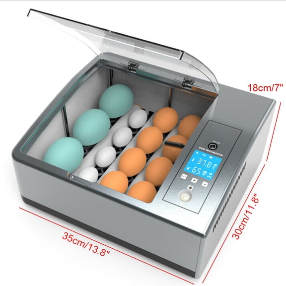 110V/12V Incubator Automatic Smart Household Mini Chicken Egg Water Bed Incubator Box Incubator Fully Automatic Household Incubator For Eggs Duck Goose Pigeon Eggs 16PCS LCD Display LCD Screen