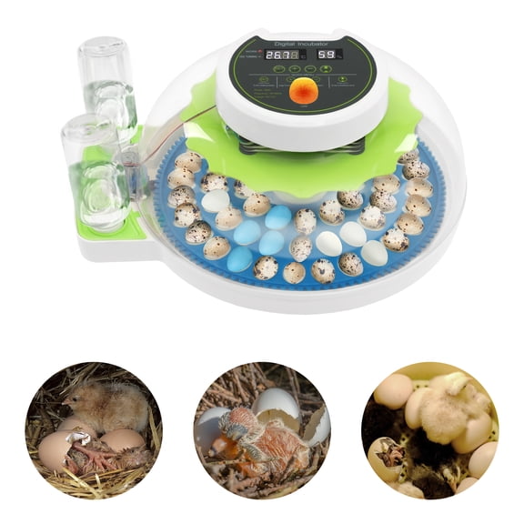 110V 60-Egg ABS Digital Egg Incubator, Auto Egg Turning 3-in-1 Hatch Brood Machine for Home Farm Small Breeding
