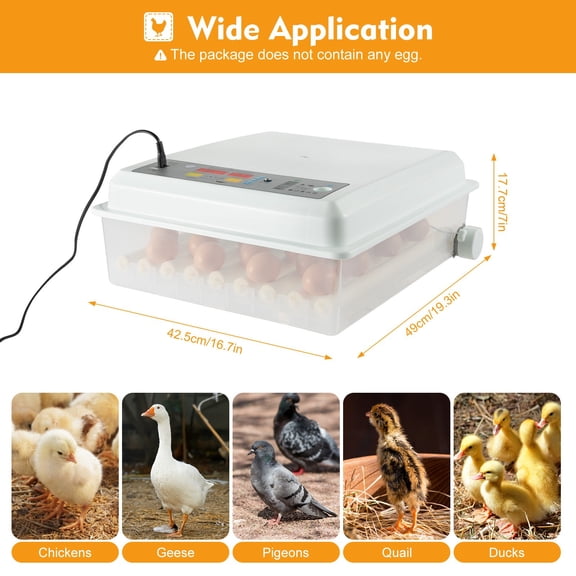 110V 80W Egg Incubator 64 Eggs Digital Automatic Hatcher for Hatching Chicken Farm for Farmers and Homes