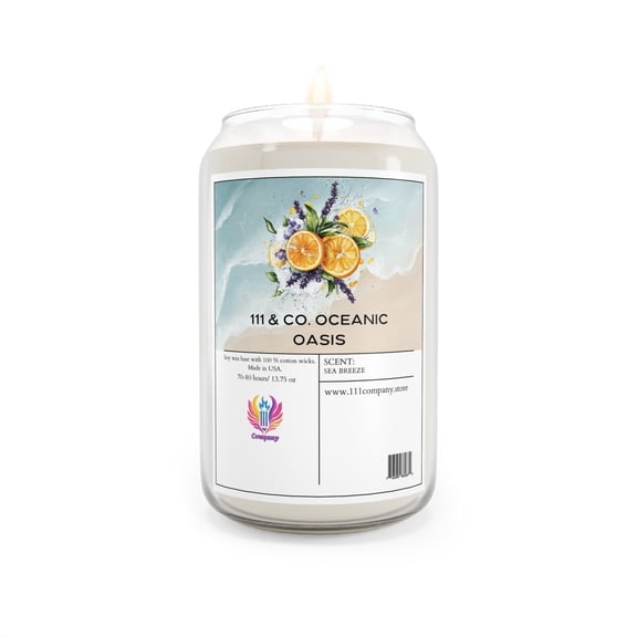 111 & Co. Oceanic Oasis Sea Breeze Scented Candle | Soy Wax, 13.75 oz