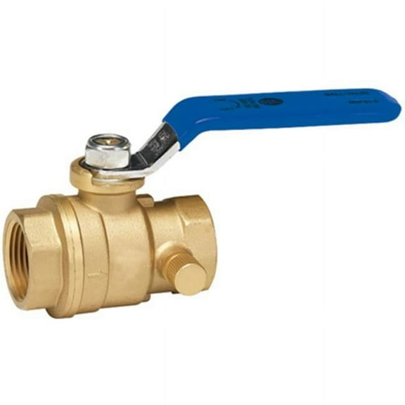 119-2-12-12 0.5 in. Brass Stop & Waste Ball Valve