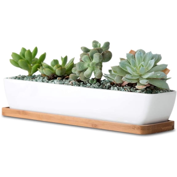 11inch Long Rectangle White Ceramic Succulent Planter Pots/Mini Flower Plant Containers with Bamboo Saucers. Product Size:11x2.23x1.69inch,not Include The Plant. (Long Rectangle)