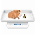 thumbnail image 1 of 11lbs/0.1g Pet Scale for Small Animal, Whelping Scale, Guinea Pig Weighing Scale, High Precision 0.003oz, Suitable for All Newborn Pets, Kittens, Turtles, Insect, 1 of 12