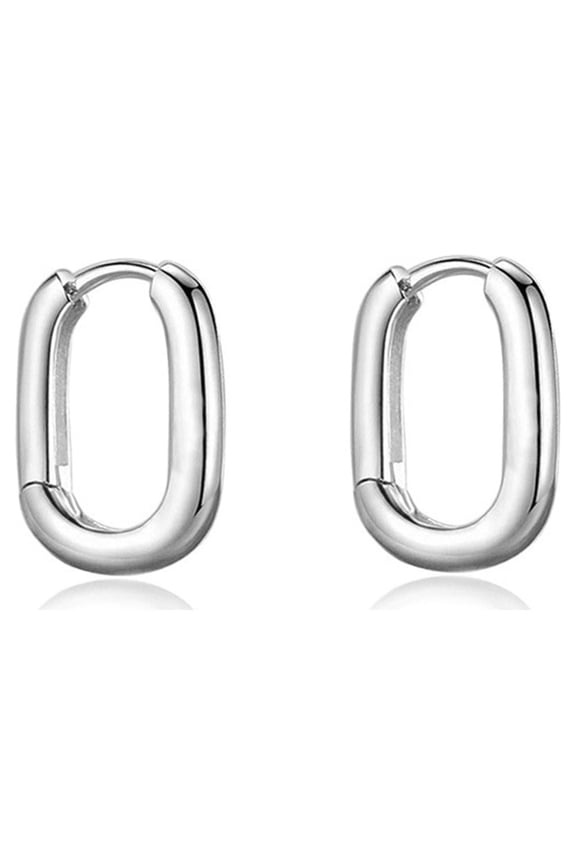 11mm Small Hoop Earrings Sterling Silver for Women Oval Tube Round Endless Huggie Hoops Hinged Earring