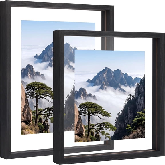 11x14 Floating Picture Frames Set of 2,Double Plexiglass Solid Wood Frames,Display Photos Artworks up to 11x14,Wall Mount or Tabletop Display for Home Office,Black