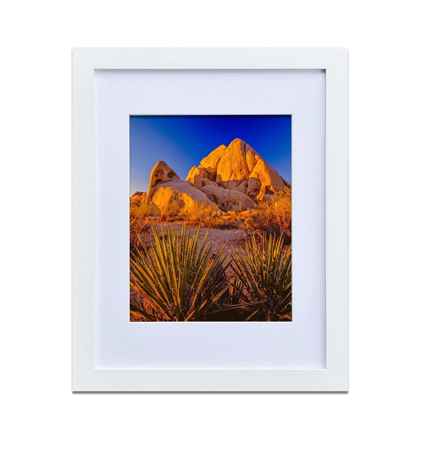 11x14" Wall Mount & Tabletop Display, Pack of 4