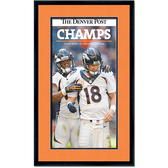 11x22 Newspaper Frame - with Orange and Navy Double Mat - Made to Display Newspapers Measuring
