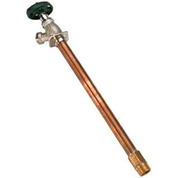 12" 1/2" FIP Or 3/4" MIP X 3/4" Hose Thread Anti-Siphon Frost-Free Hydrant-1/2FX