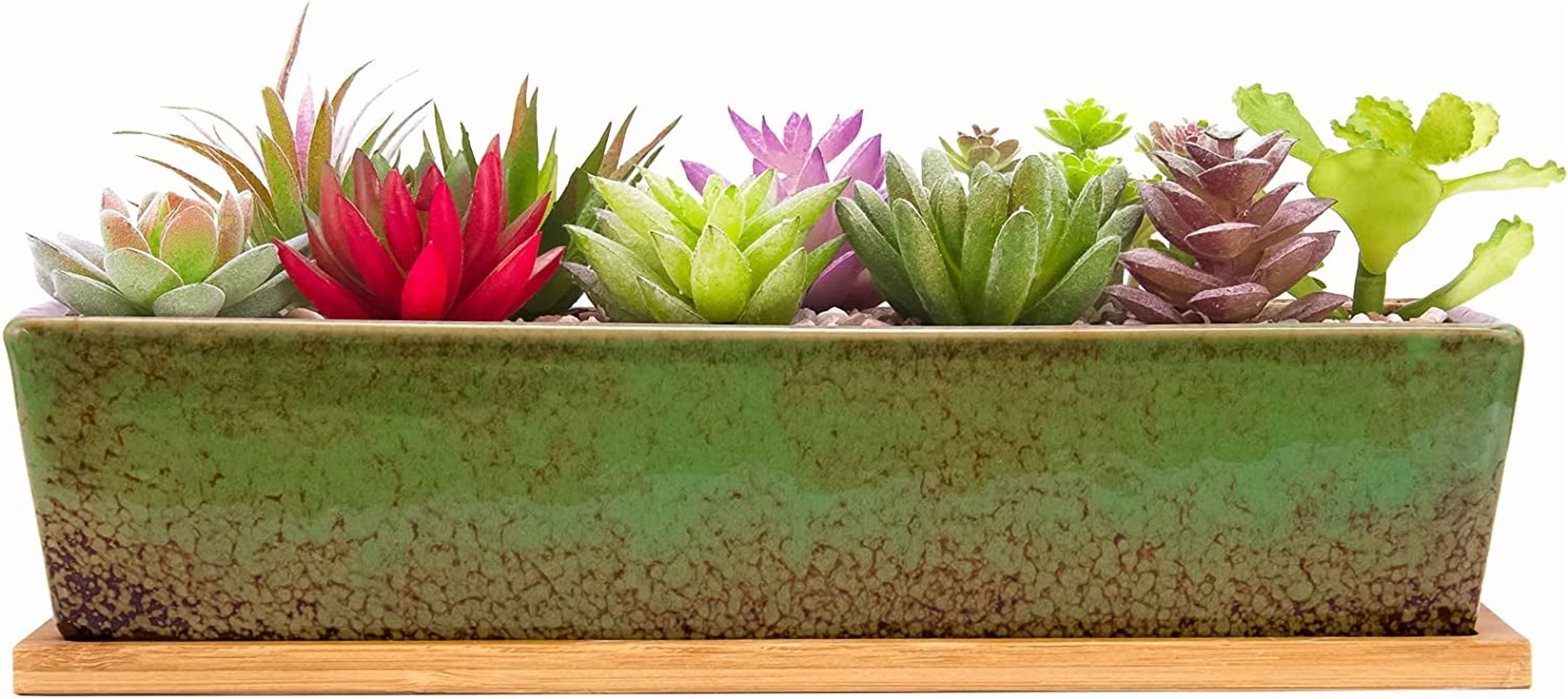 12.1 Inch Large Succulent Planters Pots with Drainage Tray, Long Rectangle Ceramic for Indoor Cactus/Succulent Plants Shallow Bonsai Window Box Home Garden Decor (Green)