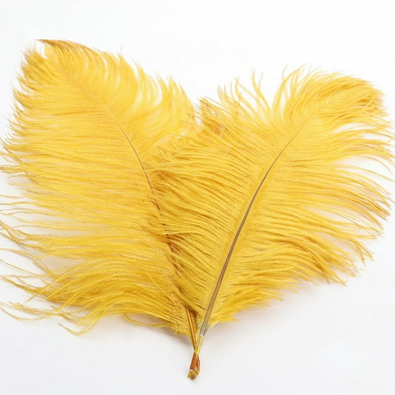 12-14 inch (30-35cm) Natural Ostrich Feathers for Wedding Centerpieces Home Decoration,Flower Arrangement,DIY Christmas Decorations (1pcs,Gold)