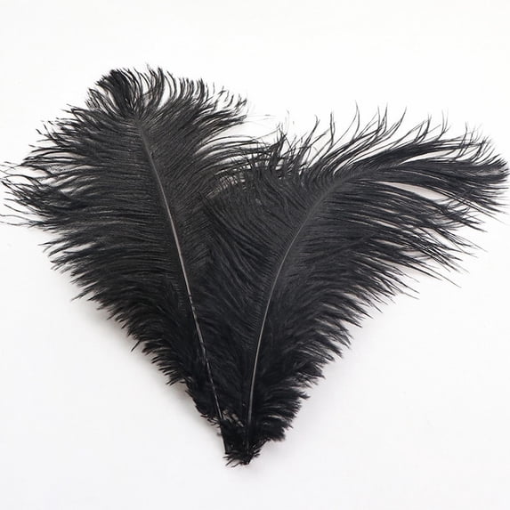 12-14 inch (30-35cm) Natural Ostrich Feathers for Wedding Centerpieces Home Decoration,Flower Arrangement,DIY Christmas Decorations (Black)