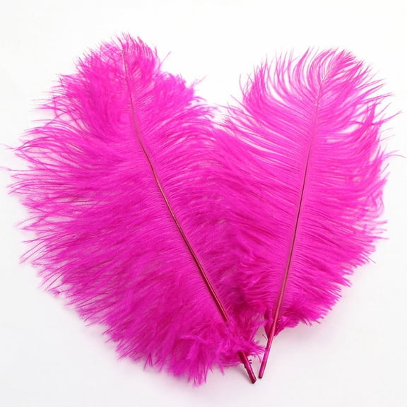 12-14 inch (30-35cm) Natural Ostrich Feathers for Wedding Centerpieces Home Decoration,Flower Arrangement,DIY Christmas Decorations (Hot Pink)
