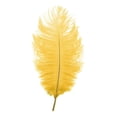 thumbnail image 1 of 12-14 inch Natural Ostrich Feathers, Soft Plume for Diy Crafts Wedding Centerpieces Party Decorations Christmas Tree Ornaments Costume accessories Dream Catcher, 1Pc (Multiple Colors available) Mohdy, 1 of 7