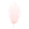 thumbnail image 1 of 12-14 inch Natural Ostrich Feathers, Soft Plume for Diy Crafts Wedding Centerpieces Party Decorations Christmas Tree Ornaments Costume accessories Dream Catcher, 1Pc (Multiple Colors available) Mohdy, 1 of 7