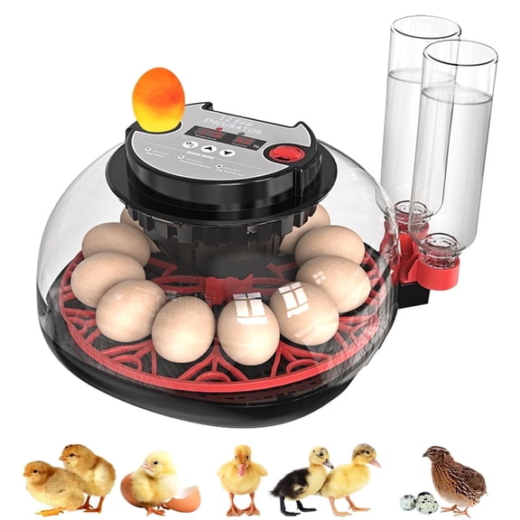 12-24 Egg Incubator for Hatching Automatic Turning Temperature and Humidity Control Display 360° Viewing for Chicken Duck Quail Eggs Ideal for Farm Classroom Home Use 2025 Upgraded Incubators