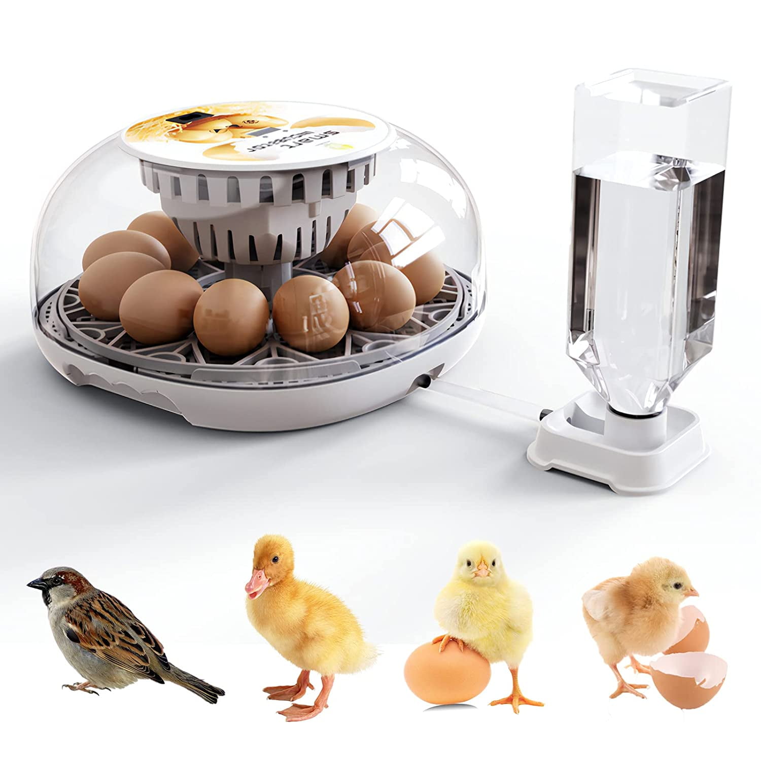 1224 Egg Incubators for Chickens, Incubators for Hatching Eggs