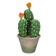 thumbnail image 1 of Allstate Flowering Artificial Column Cactus with Ceramic Pot - 12.5" - Green and Beige, 1 of 2