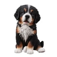 thumbnail image 1 of Hi-Line Gifts Sitting Bernese Mountain Puppy Outdoor Garden Statue - 12.5", 1 of 5