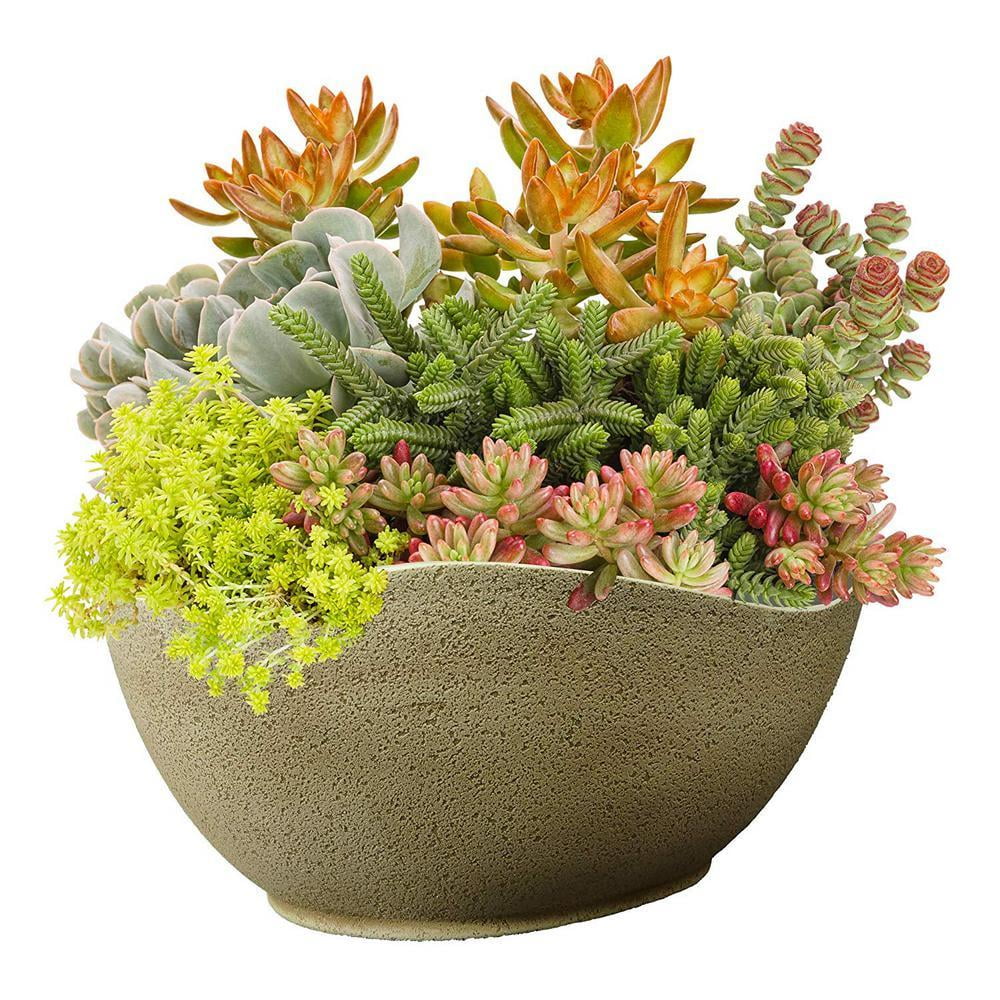 Desert Beige Oval Resin Indoor/Outdoor Planter