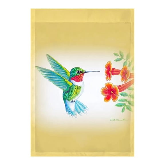 12.5 x 18 in. Dicks Hummingbird Flag