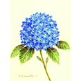 thumbnail image 1 of 12.5 x 18 in. Hydrangea Flag, 1 of 1