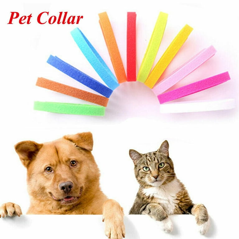 12 6pcs Adjustable Newborn Puppy Kitten ID Collar Bands Breeders Choice Walmart