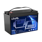 12.8V 100Ah LiFePO4 Deep Cycles Rechargeable Maintenance-Free Lithium Battery,Built in100A Smart BMS