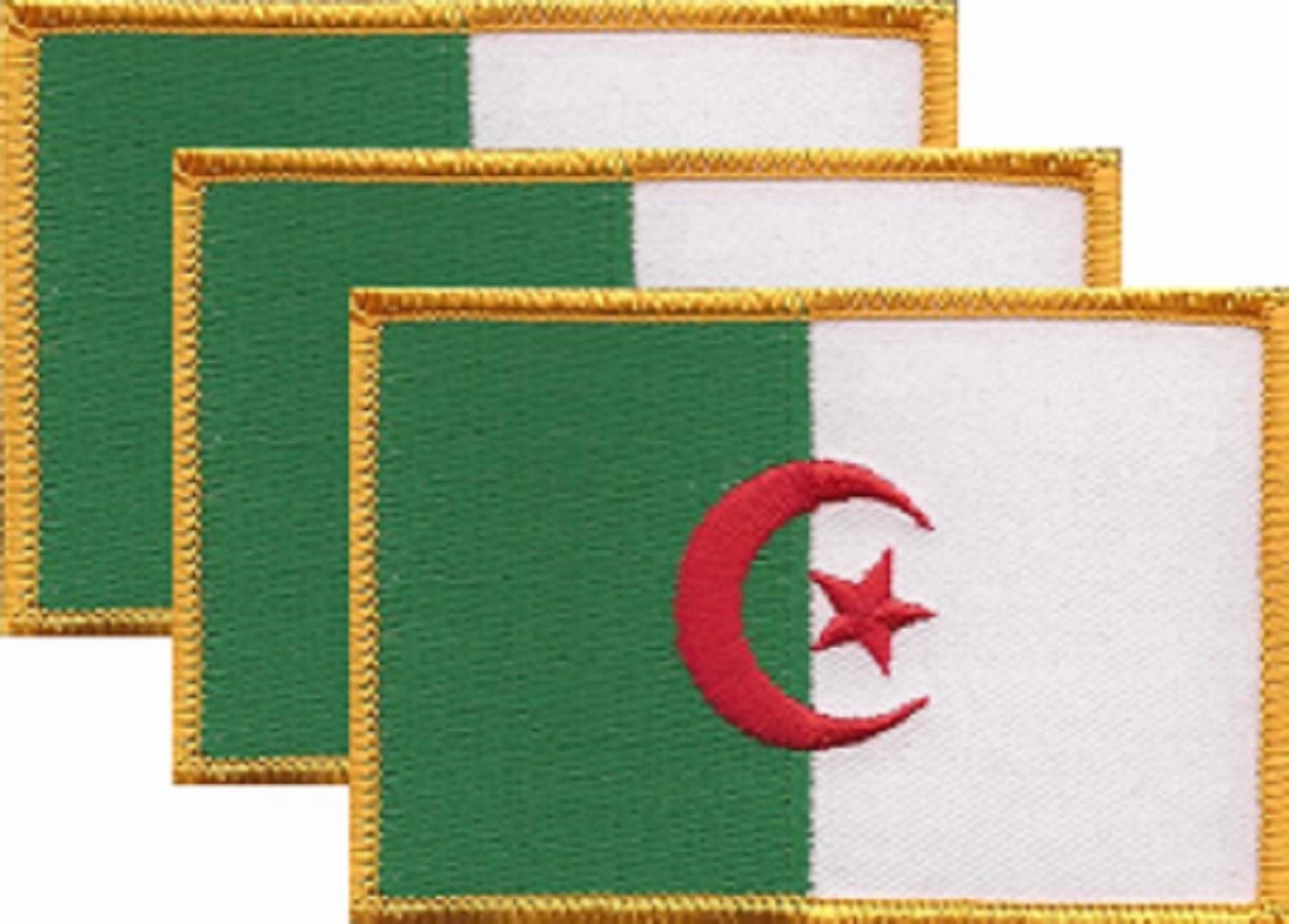 12 Algeria Flag Patches, Embroidered Iron On or Sew On, Measures 3.50" x 2.25"
