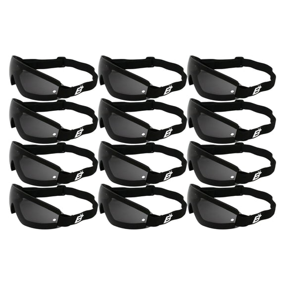 12 BIRDZ WING Sky Diving Parasailing MOTORCYCLE GOGGLES SMOKE LENS