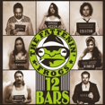 thumbnail image 1 of 12 Bars, 1 of 1