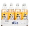 thumbnail image 1 of (12 Bottles) Polar Tonic Water, 1 L, 1 of 6