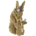 thumbnail image 1 of Northlight 12" Brown Mommy and Baby Bunny Sisal Easter Figure, 1 of 5