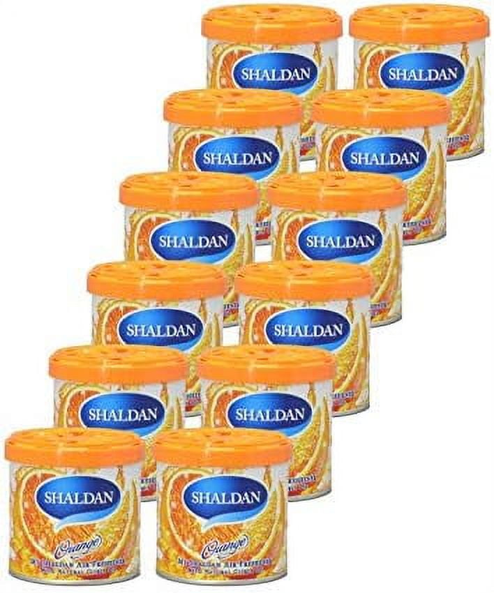 12 Cans V7 Air Freshener Orange Scent (D41ORV7)