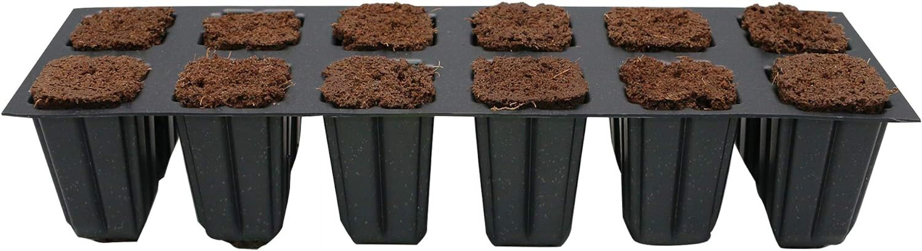 12 Cells Seed Starter Tray With 12 Plugs, Seedling Starter Tray Kit For