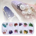 thumbnail image 1 of 12 Color Dry Flower Kit With 24 Unique Stickers For Long Lasting Manicure Decoration Design, 1 of 5