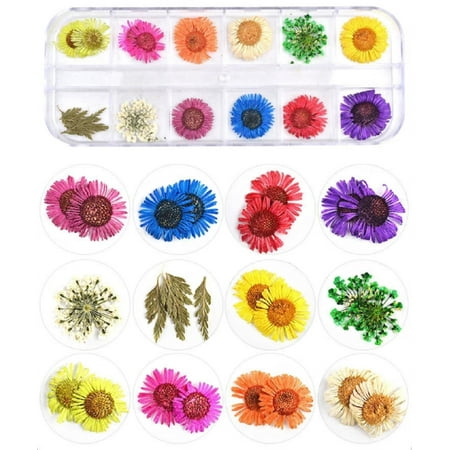 12-Color Real Dried Flower Nail Art Set – 3D DIY Manicure Decorations for Unique, Salon-Quality Nails TIKA