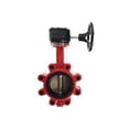 thumbnail image 1 of 12 DI BFV Lug/Gear SS DIsc/EPDM, 1 of 1