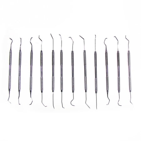 12 Dental Picks Set - Gun Cleaning Carving Modeling Clay Wax Probe Jewelry Tools