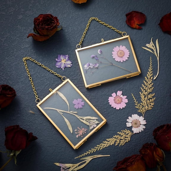 12 Double Glass Frame for Pressed Flowers Floating Hanging Photo Frame 3.5 x 2.5 in Brass Clear Pressed Flower Decor with Chain for Display Gallery Artwork, Horizontal Vertical (Gold)