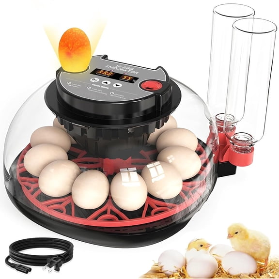12 Egg Automatic Incubator Chicken Duck Quail Egg Hatcher with Auto Turning LED Candling Light Temperature Control Humidity System Transparent Lid and Water Bottles